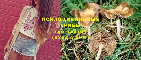 ГАЛЛЮЦИНОГЕННЫЕ ГРИБЫ Алексин