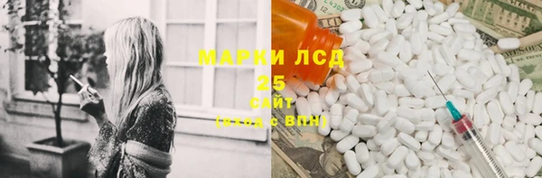 ГАЛЛЮЦИНОГЕННЫЕ ГРИБЫ Алексин