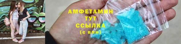 гашик Алзамай