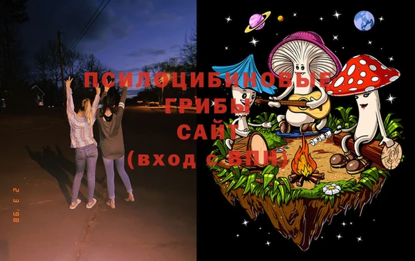 круглые Алексеевка
