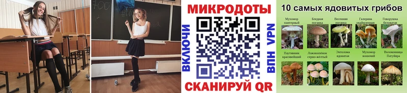Галлюциногенные грибы MAGIC MUSHROOMS Купить Брянск